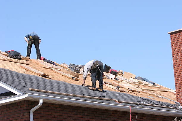 The Importance of Hiring Professionals for Roof Restoration in Brisbane