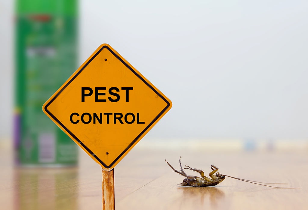 Why Pest Control is Essential for Homeowners in Preston?