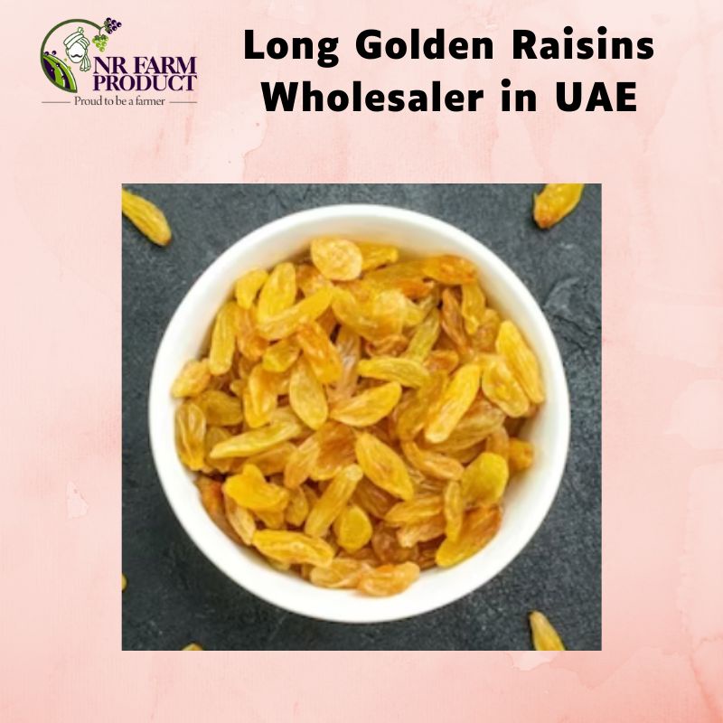 Long Golden Raisins Wholesaler in UAE: Nurturing Taste, Pioneering Health