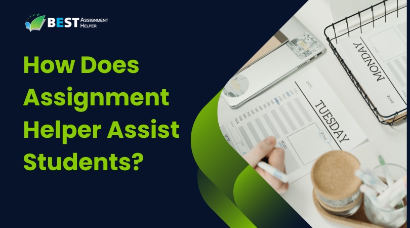 How Does Assignment Helper Assist Students?