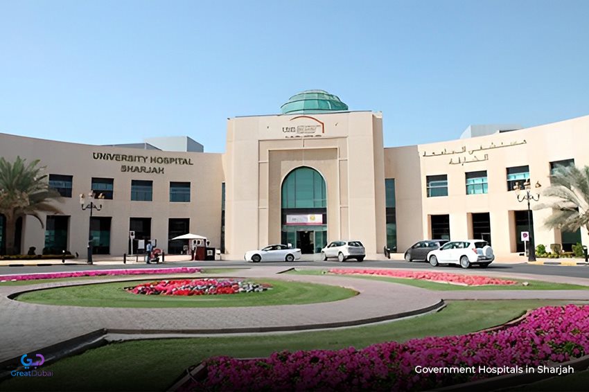 Government Hospitals in Sharjah: Your Family's Health, Our Responsibility