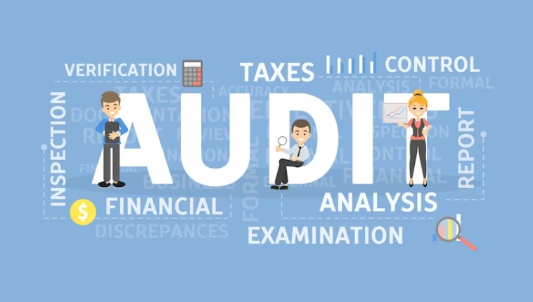 Why you should hire a Tax Agent in the UAE?