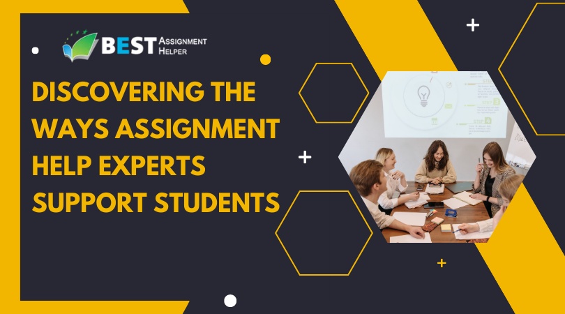 Discovering the Ways Assignment Help Experts Support Students