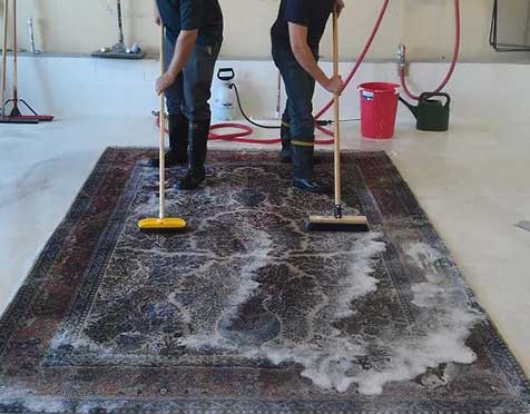 Elevate Your Space: Transformative Carpet Cleaning Services
