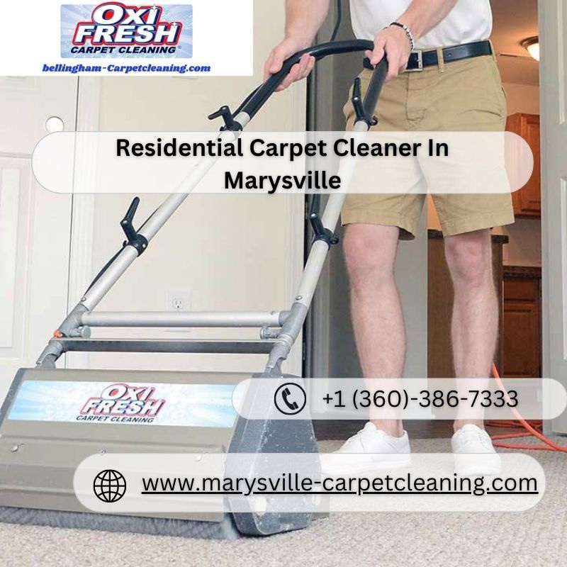 Experience Premium Carpet Cleaning in Marysville