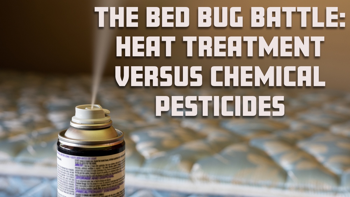 The Bed Bug Battle: Heat Treatment Versus Chemical Pesticides