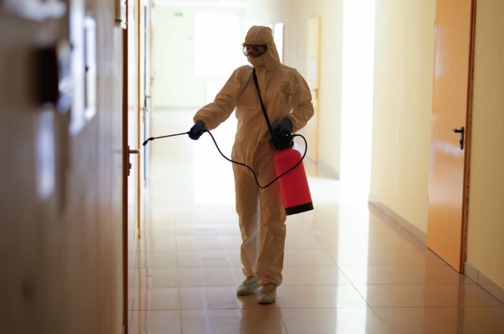 Bust Those Myths: Debunking Misconceptions About Pest Control