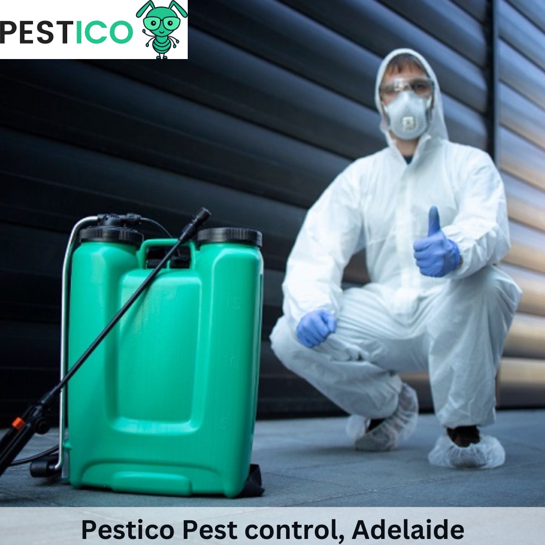 Business Solutions: Commercial Pest Control Services to Protect Your Workplace