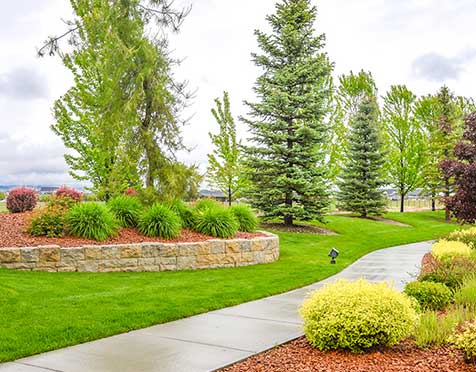 What To Expect From Reliable Landscaping Services?