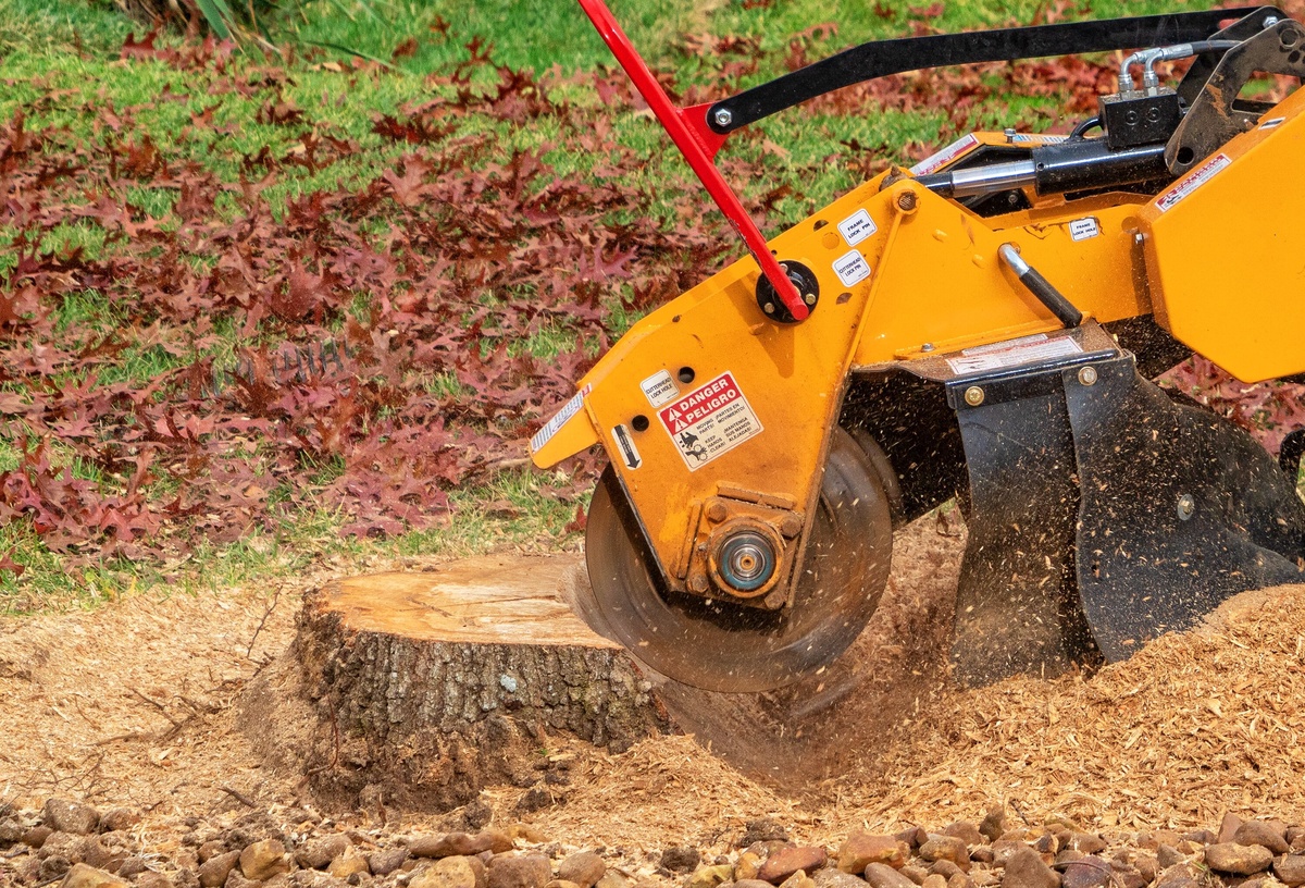 Stump Grinding OKC: Enhancing Your Landscape With Professional Tree Service In Oklahoma City