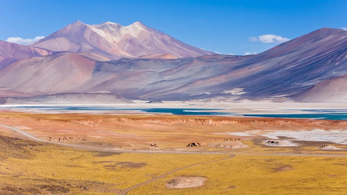 Lush Landscapes and Pisco Sours: A Journey through Chile