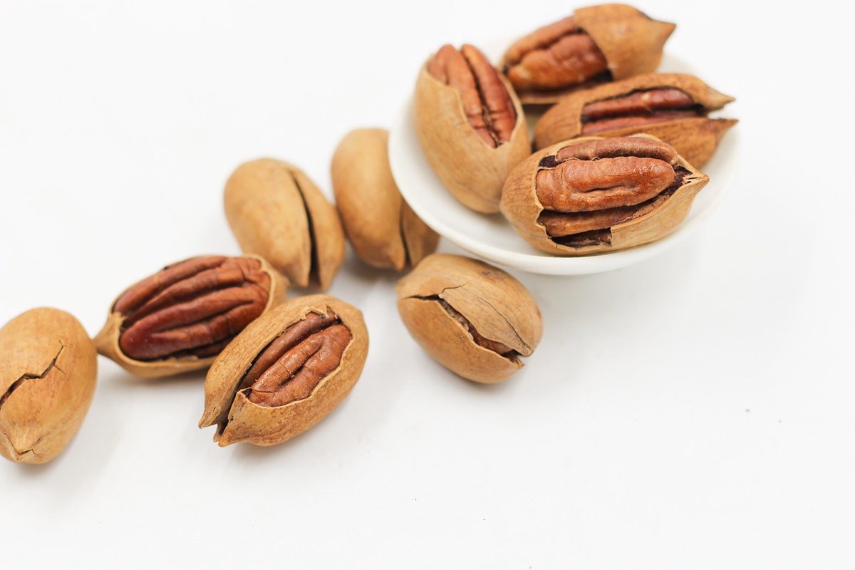 Can Dogs Eat Pecans? A Comprehensive Guide to Nut Consumption for Your Canine Companion