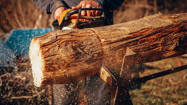 How to Select the Perfect Chainsaw for Arborist Work?