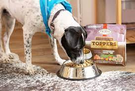 What can I mix with freeze-dried dog food?pets