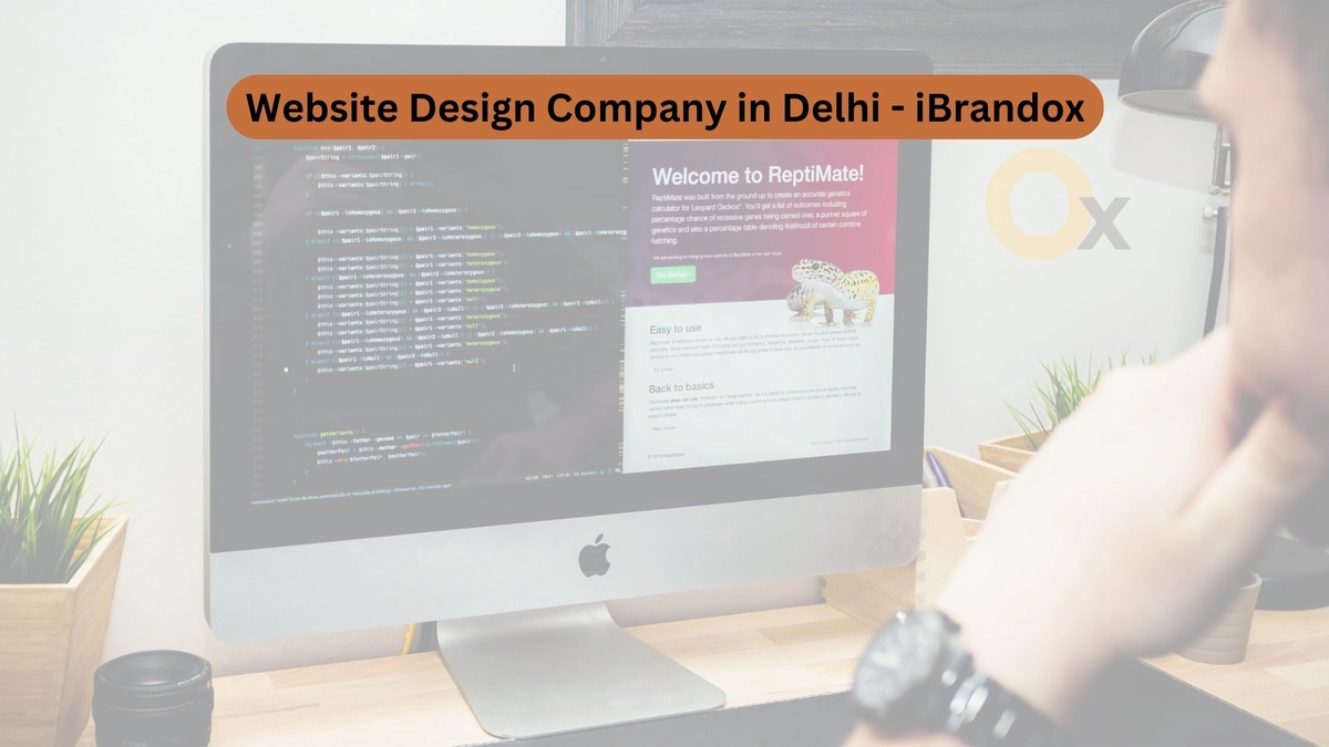 Website Design Company in Delhi - iBrandox