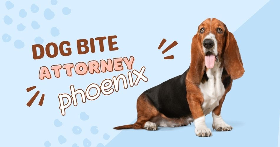 Navigating Dog Bite Incidents in Phoenix: How a Dog Bite Attorney Can Help