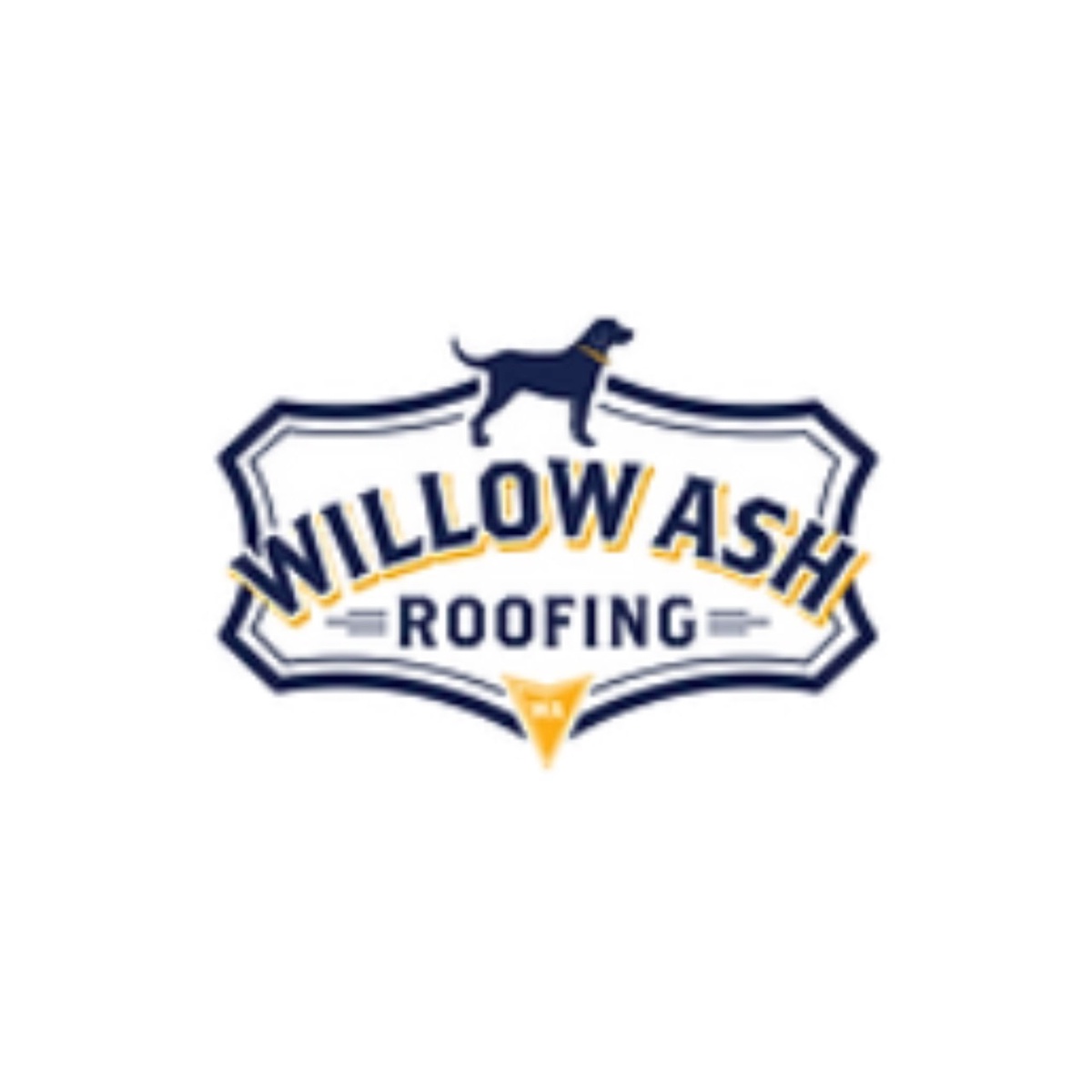 Elevating Roofs, Building Trust: Willow Ash Roofing's Legacy in Charleston, SC