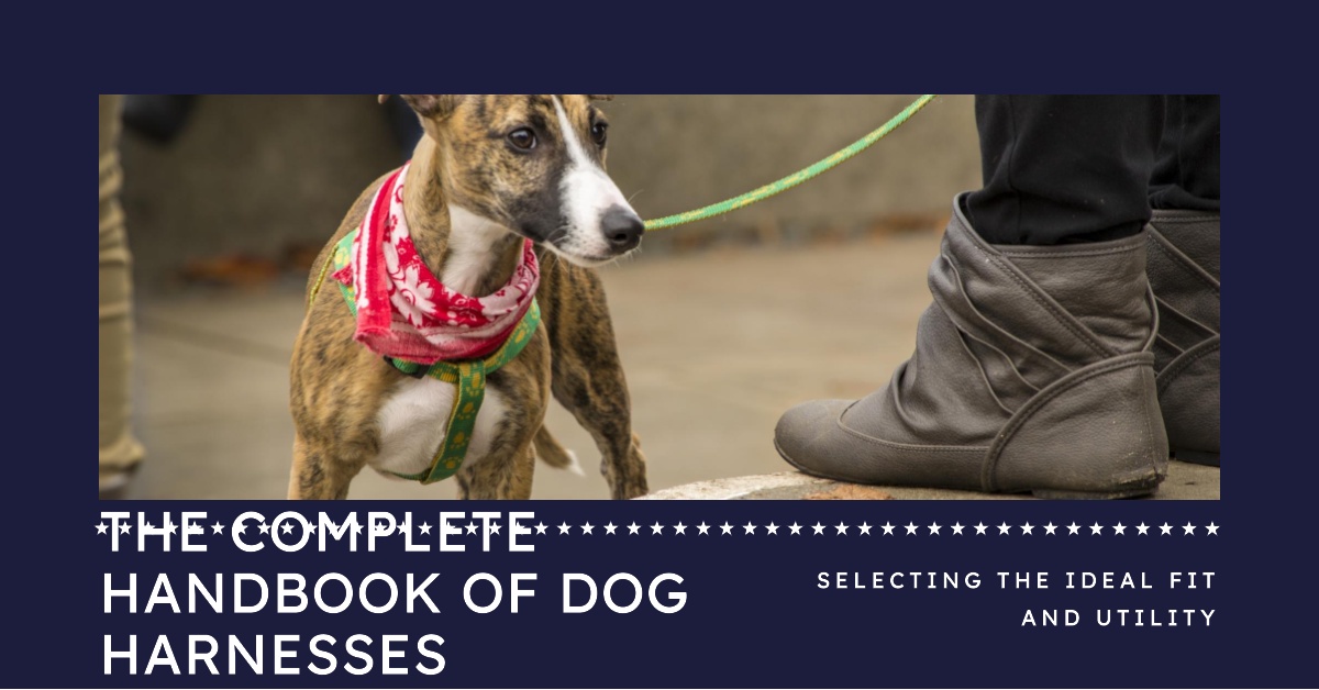 The Complete Handbook of Dog Harnesses: Selecting the Ideal Fit and Utility