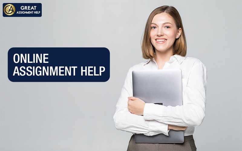 How Can Assignment Help Online Benefit An Individual?