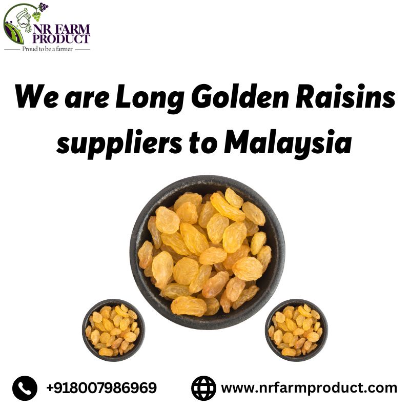 We are Long Golden Raisins suppliers to Malaysia