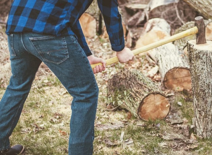 Improve Safety By Availing Of Chopping Down Trees Services