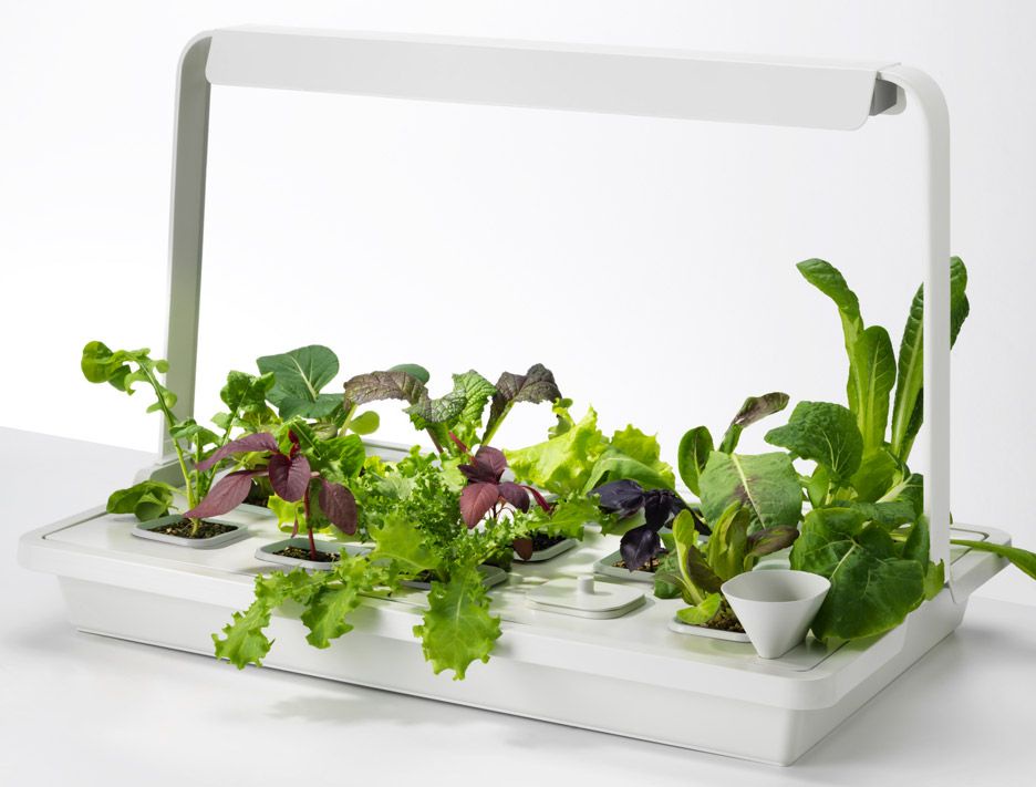How To Pick The Best Hydroponics Equipment Supplier?