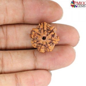 Exploring the Power of the 4 Mukhi Rudraksha: A Guide to Its Significance and Benefits