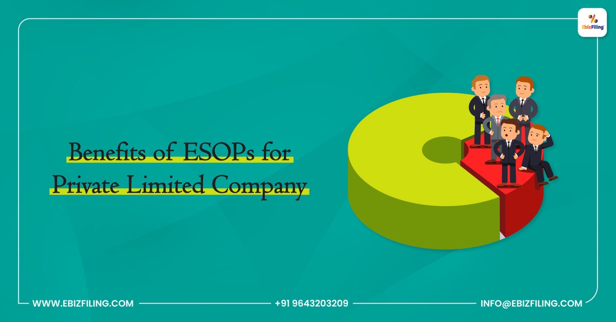 How Private Limited Companies Can Benefit from ESOPs?