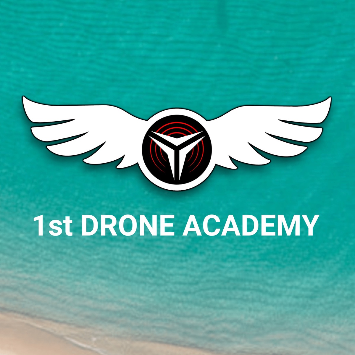 From Nothing to Something: Navigating the Perfect Drone Course Online