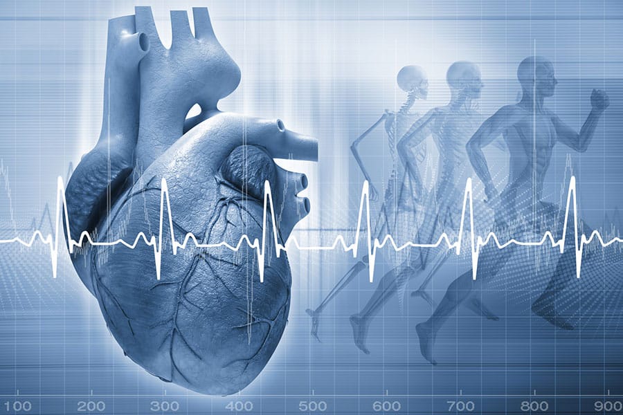 Unveiling Heart Health: Consulting a Leading Cardiologist in Melbourne
