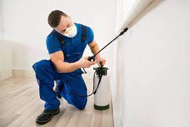The Benefits of Having a Trusted Partner for Effective Pest Extermination