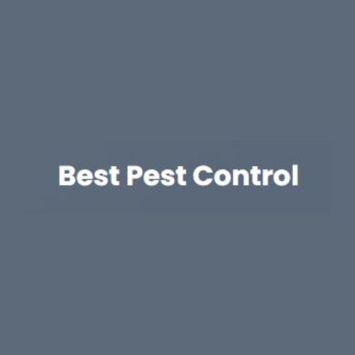 Mastering Ant Control: Your Ultimate Guide to the Best Indoor Ant Killers in Corpus Christi, TX