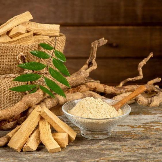 The main effects and functions of ginseng extract