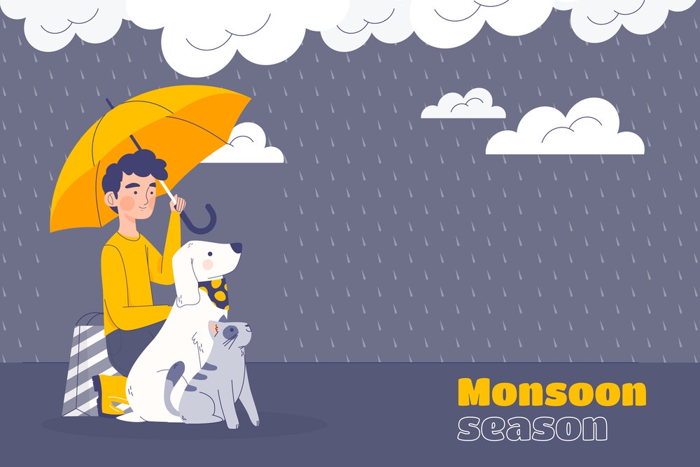 Weather JSON API: Accessing Weather Data Effortlessly