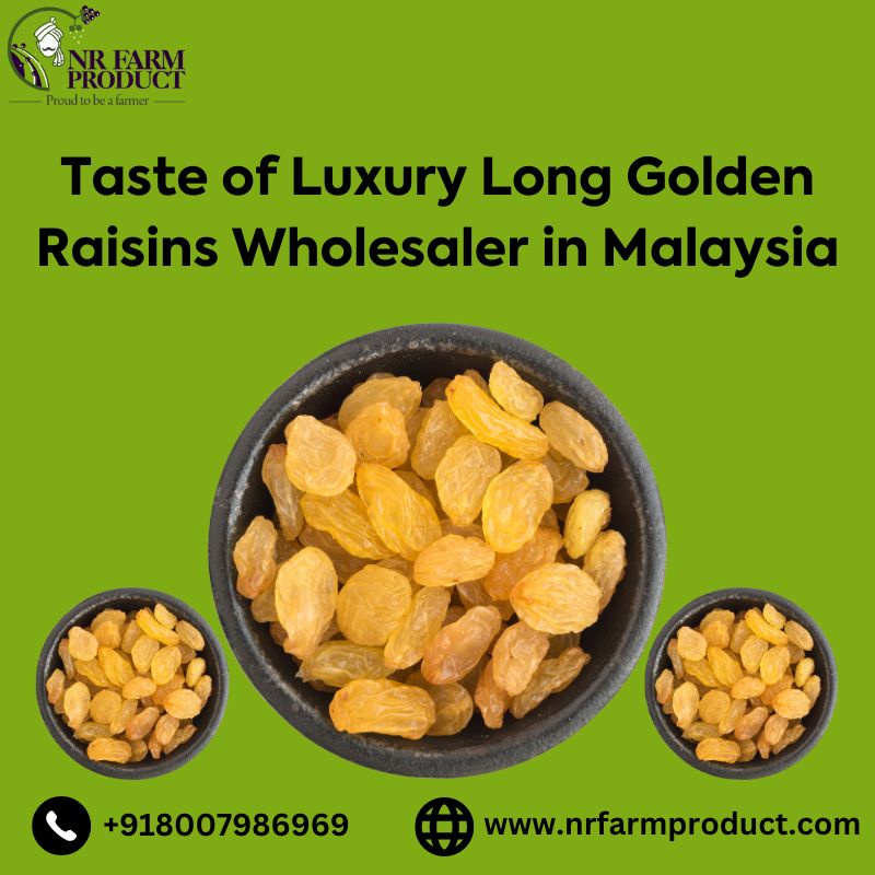 Taste of Luxury Long Golden Raisins Wholesaler in Malaysia