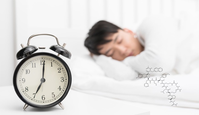 Research on Insomnia and Neuropeptides