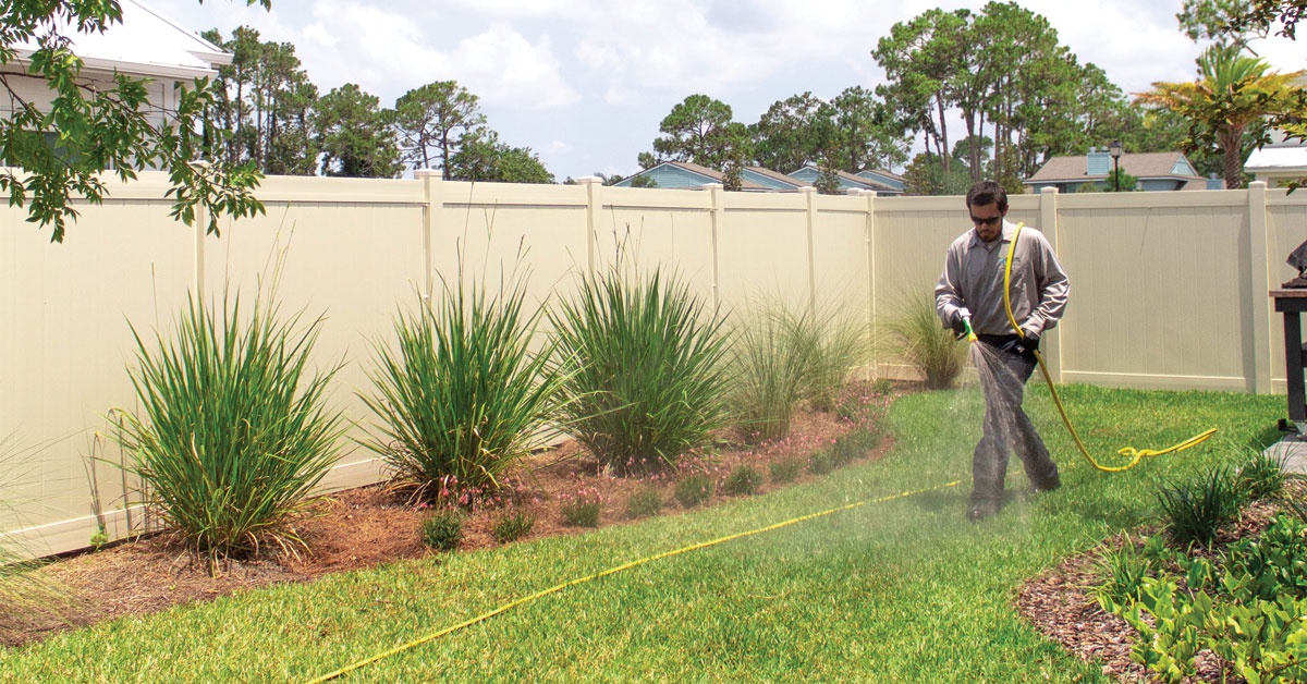 The Importance of Residential Pest Control Services in Jacksonville