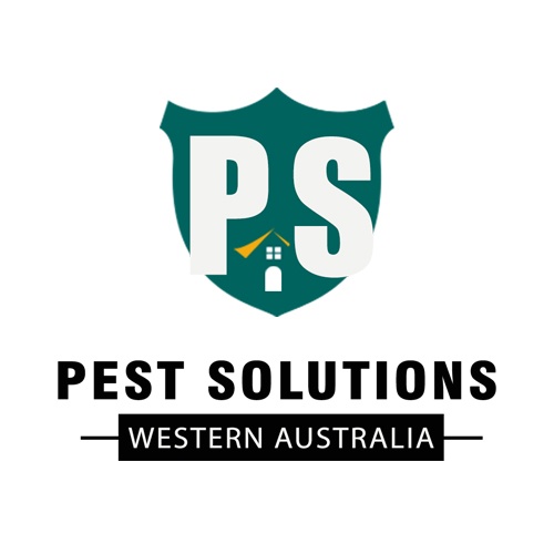 The Importance of Pest Control Services in Perth