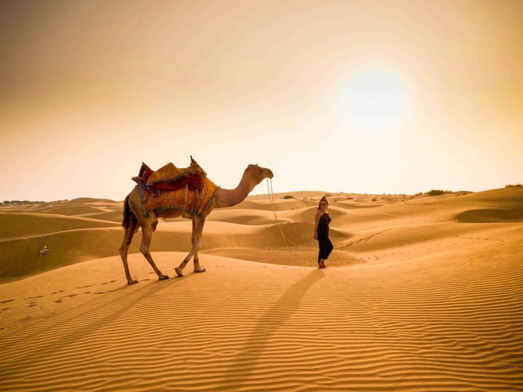 Exploring Jaisalmer's Charms: Unveiling the Best Places to Stay in Rajasthan's Golden City