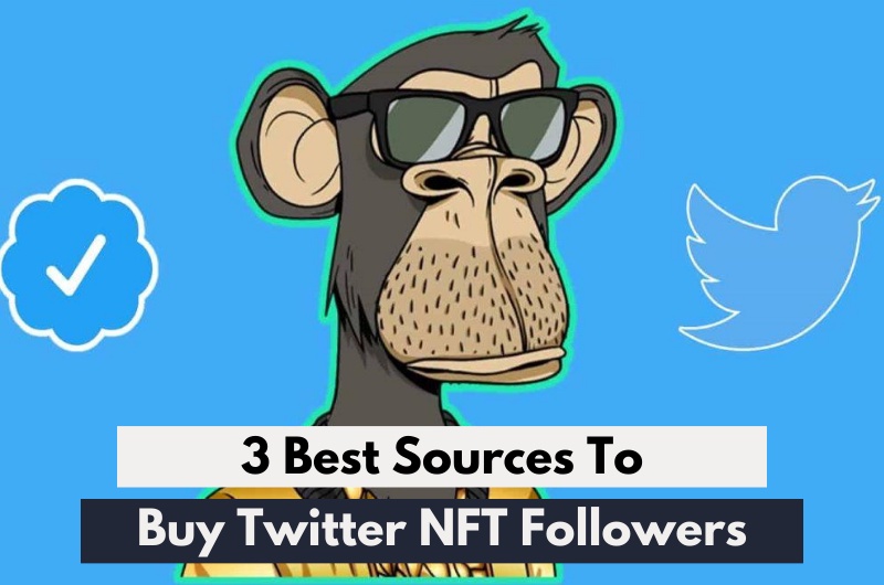 3 Best Sources to Buy Twitter NFT Followers