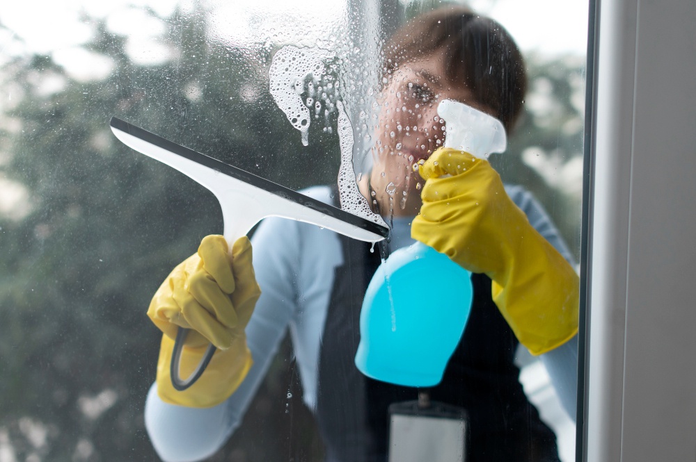 Revive Your Tampa Home: The Ultimate Window Cleaning Service Guide
