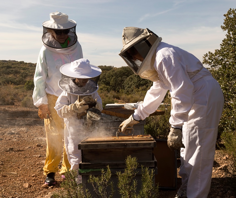 Staying Safe and Comfortable While Tending to Your Hive