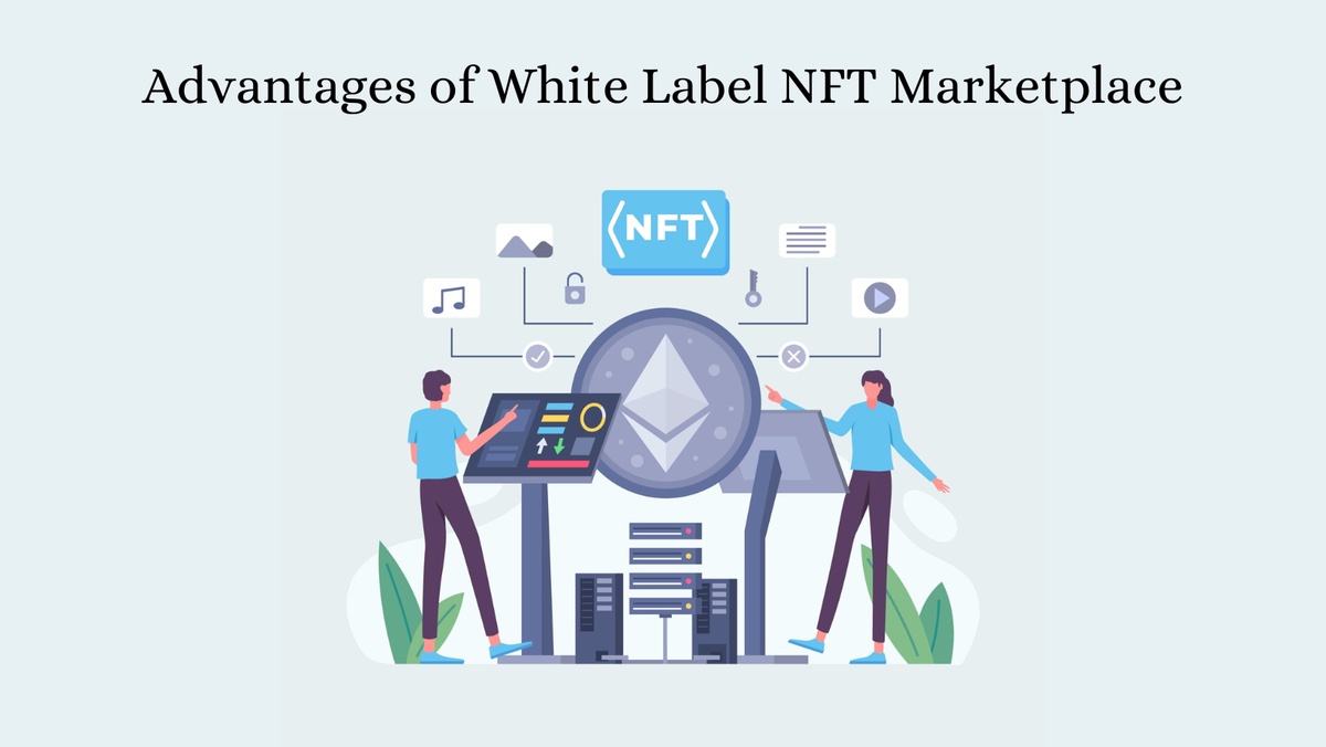 Exploring the Advantages of a White Label NFT Marketplace