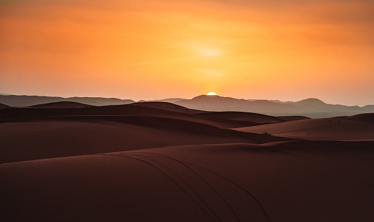 Sunset Desert Tours in Abu Dhabi