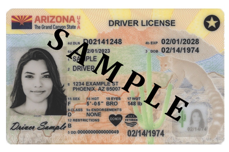 What are the most common features that distinguish an Arizona fake ID from real
