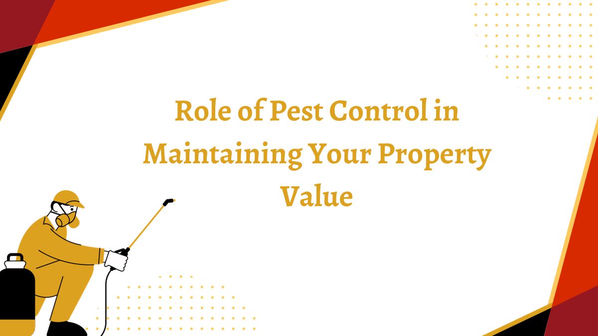 Role of Pest Control in Maintaining Your Property Value