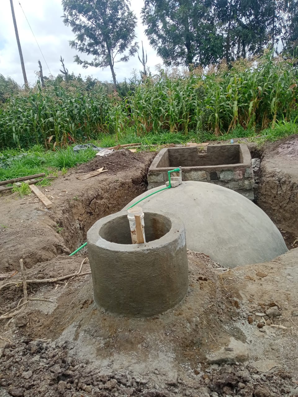 Economic Considerations of Biodigesters: Turning Waste into Wealth