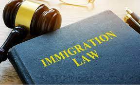 "Expert Immigration Solicitors: Navigating Your Path to Success"