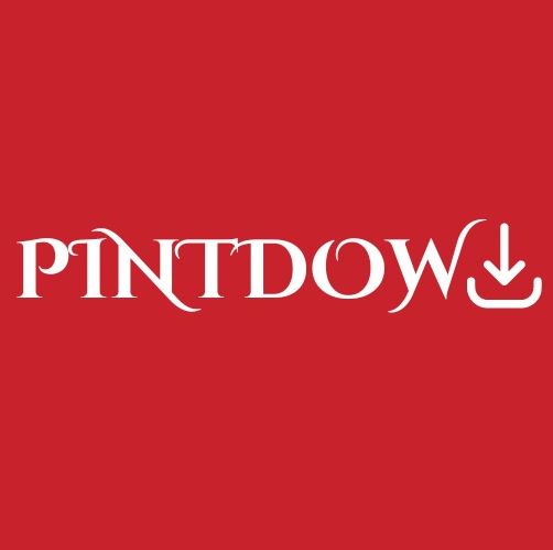 Pinterest Story Downloader: Your Ultimate Guide