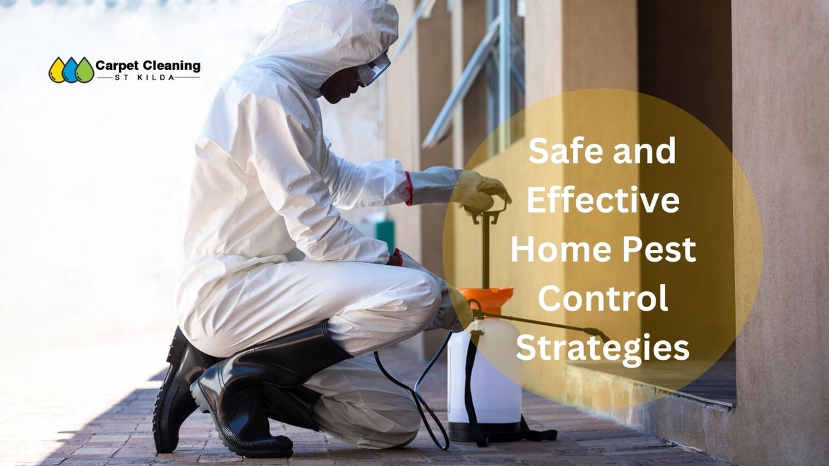 The Ultimate Guide to Safe and Effective Home Pest Control Strategies in St Kilda